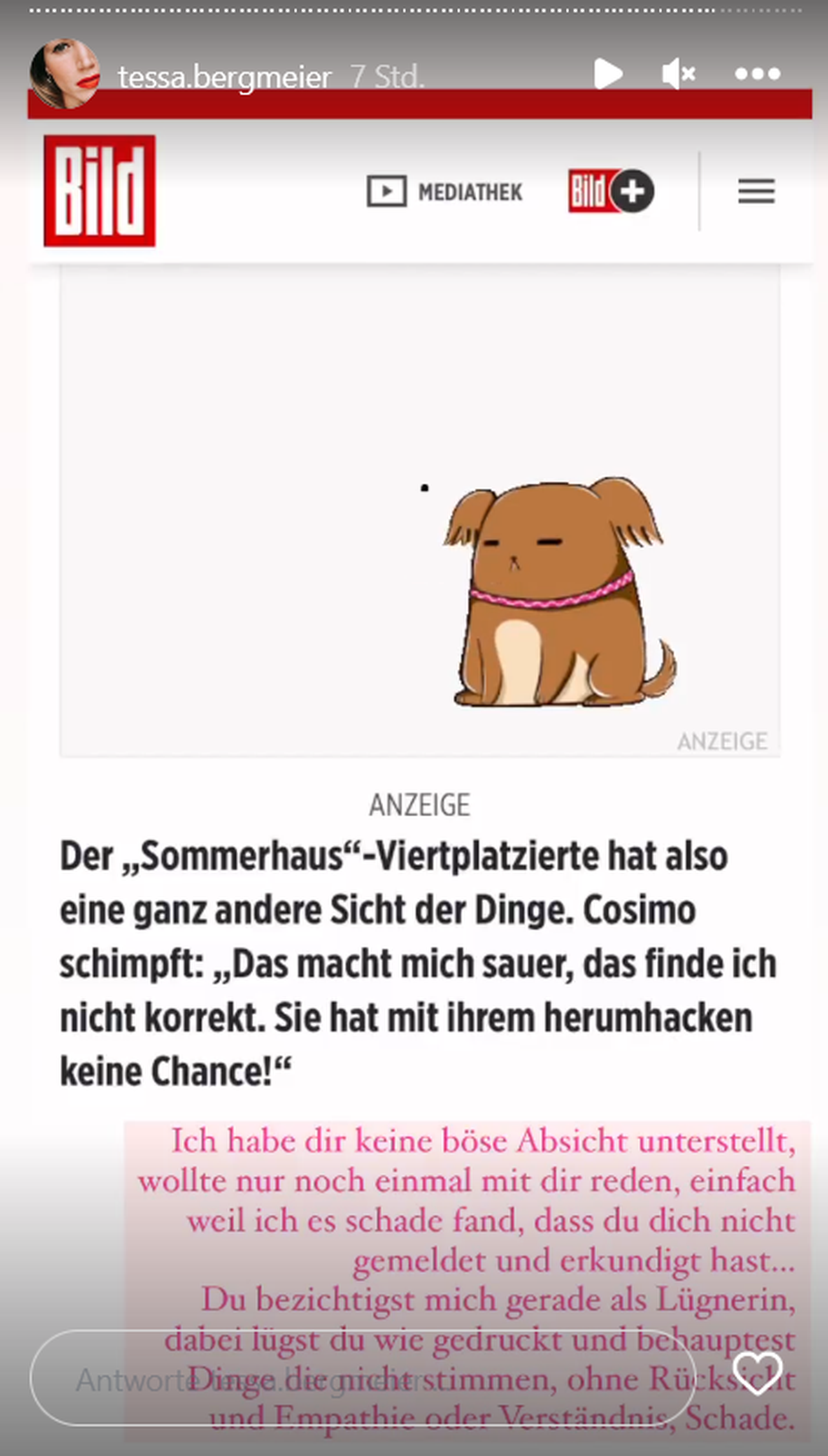 Cosimo Citiolo wirft Bergmeier vor, auf ihm herumzuhacken.