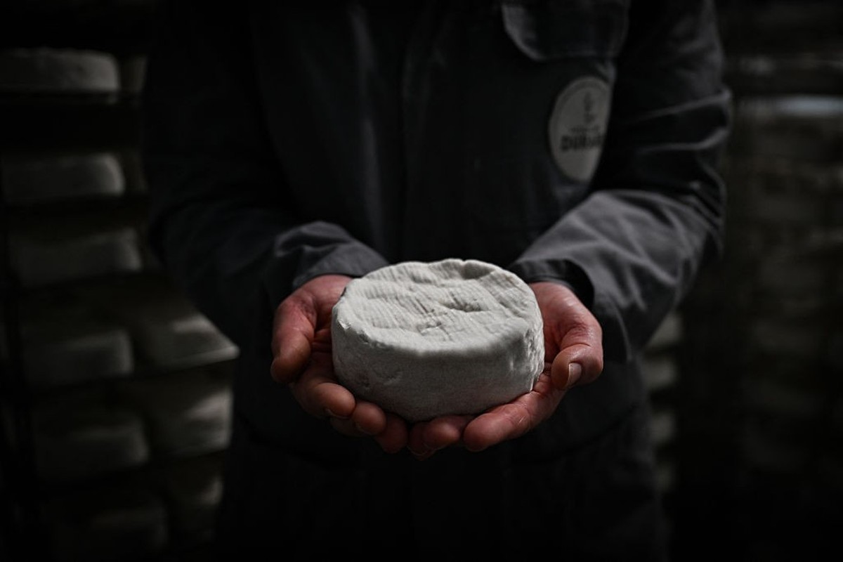 An employee handles a camembert cheese, at the Durand cheese factory, in Camembert, northwestern France, on May 5, 2025. (Photo by LOU BENOIST / AFP) (Photo by LOU BENOIST/AFP via Getty Images)
