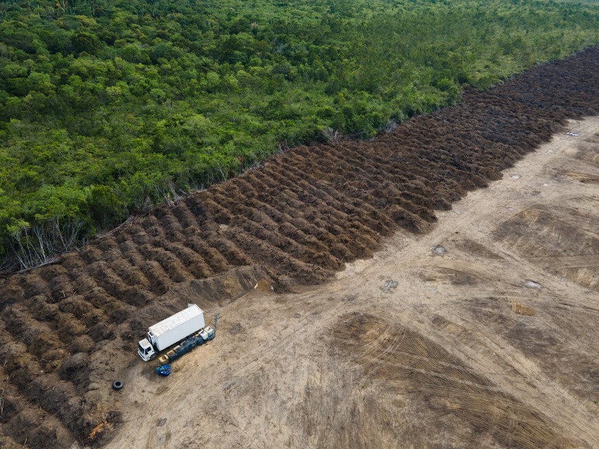 ARCHIV - 07.09.2021, Brasilien, Porto Velho: Ein Lastwagen steht in einem abgeholzten Gebiet des Amazonas. Die EU geht mit einem neuen Gesetz gegen die Abholzung der Wälder vor. (zu dpa «Schutz des Re ...