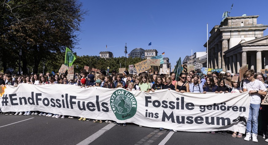 Etwa 250.000 Menschen gingen nach Angaben von Fridays for Future im September zum Klimastreik in Deutschland auf die Straße.