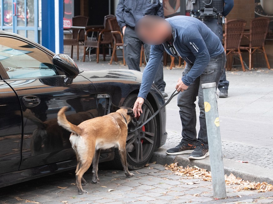 Ein Spürhund untersucht am Montag ein Auto in Berlin.