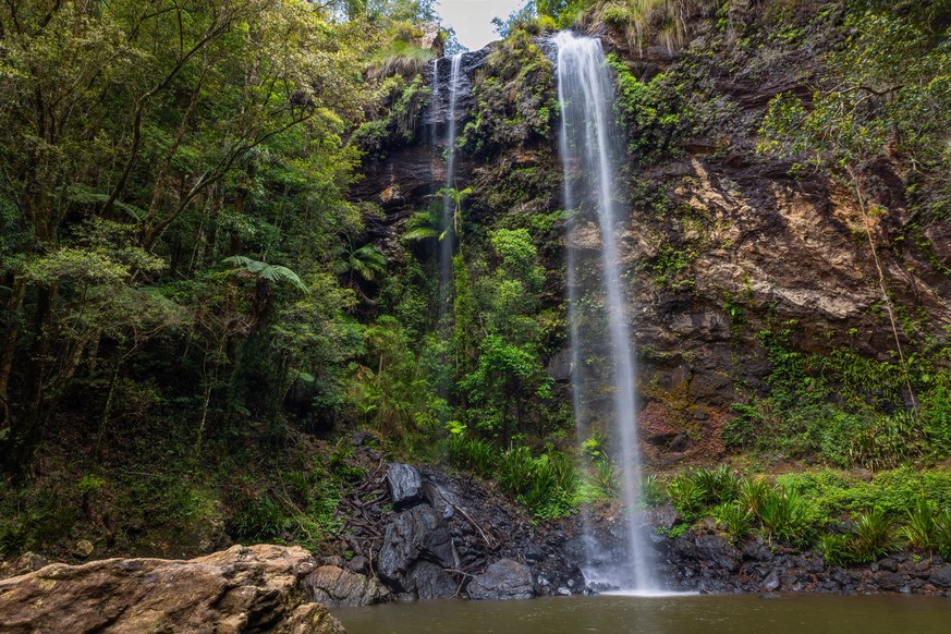 A waterfall called Twin Falls drops over a sheer rock wall into the plunge pool below. This is a popular attraction for tourists and locals and is at Springbrook in Lamington National Park on the Gold ...