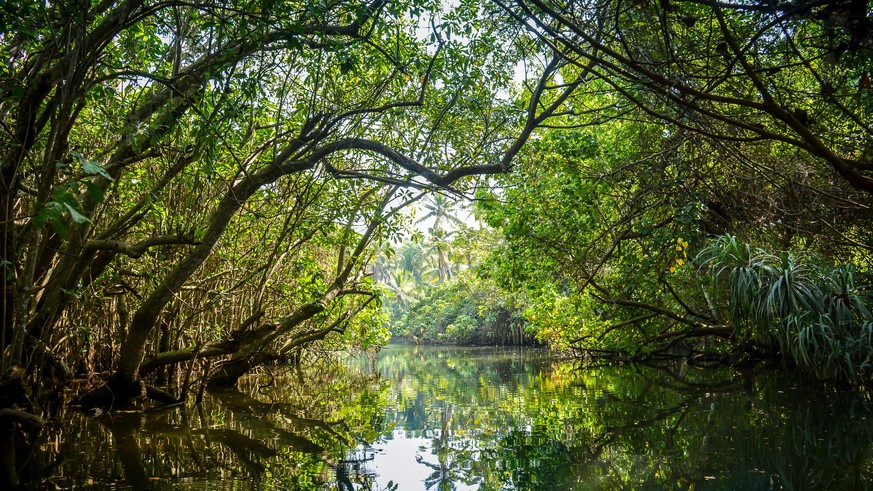 Poovar, a backwater lake connecting Arabian sea in Kerala, India.