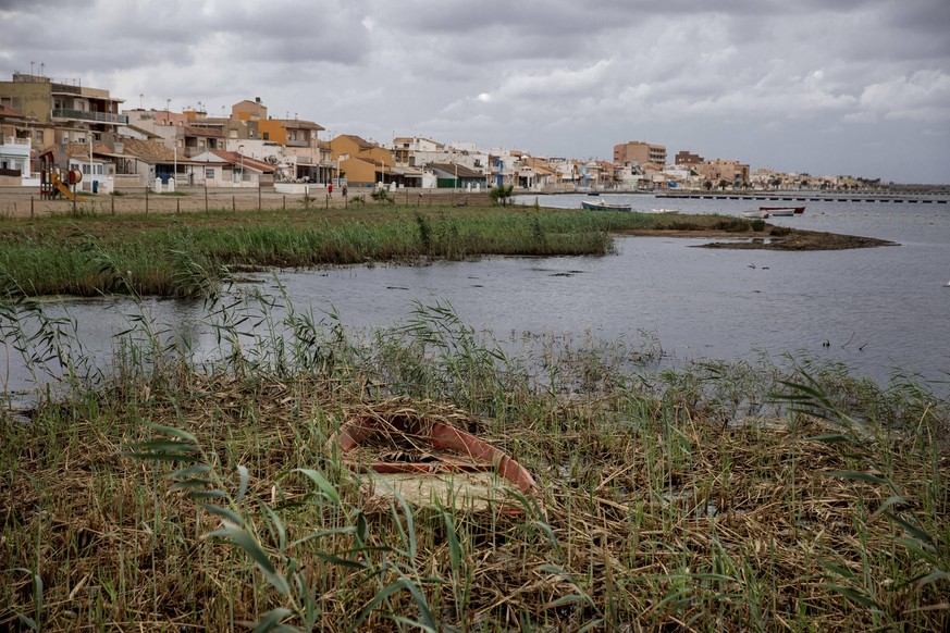 CRISIS MAR MENOR La fauna marina se esta muriendo en el Mar Menor por la falta de oxigeno en el agua. Fishes in Mar Menor are dying in the absence of oxygen in the water. Murcia Espana 116493653 *** C ...