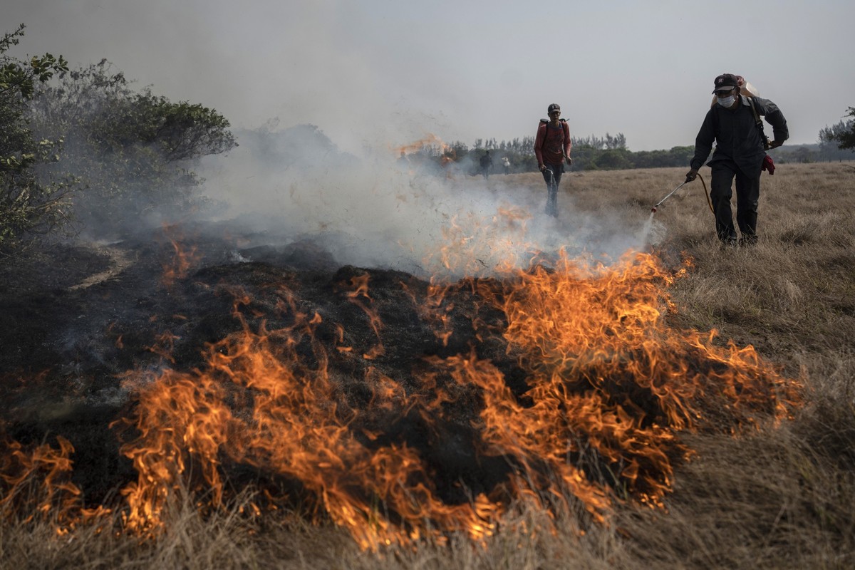 18.05.2024, Mexiko, Rincón de la Palma: Anwohner arbeiten daran, einen sich nähernden Flächenbrand im mexikanischen Bundesstaat Veracruz unter Kontrolle zu bringen. Foto: Felix Marquez/AP +++ dpa-Bild ...