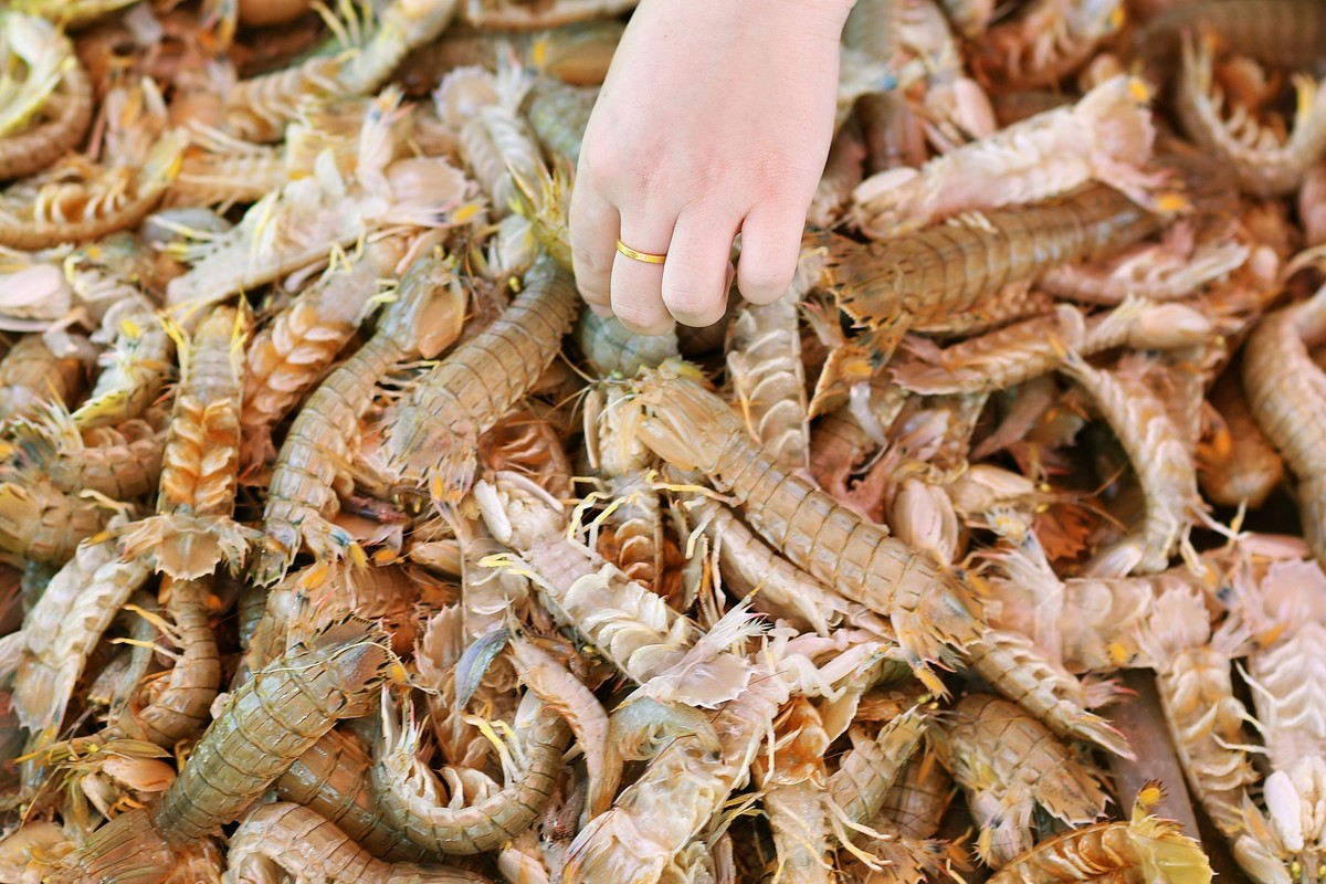 QINGDAO, CHINA - SEPTEMBER 04: People shop for shellfish at Jiaozhou Bay on September 4, 2025 in Qingdao, Shandong Province of China. Jiaozhou Bay in Qingdao City, Shandong Province, was bustled with  ...