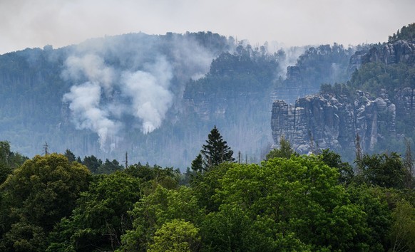 Der Wald brennt im Nationalpark Sächsische Schweiz. 