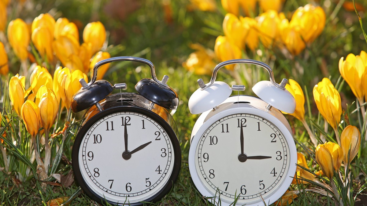 Zwei Wecker stehen im Schlosspark, Oberes Schloss in Siegen inmitten von Krokussen ein Wecker zeigt zwei Uhr, der andere drei Uhr, Sommerzeit, Uhren werden auf Sommerzeit umgestellt Feature, Sommerzei ...
