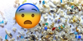 Mikroplastik ist überall, sogar im Arktis-Eis! Was wir jetzt noch tun können