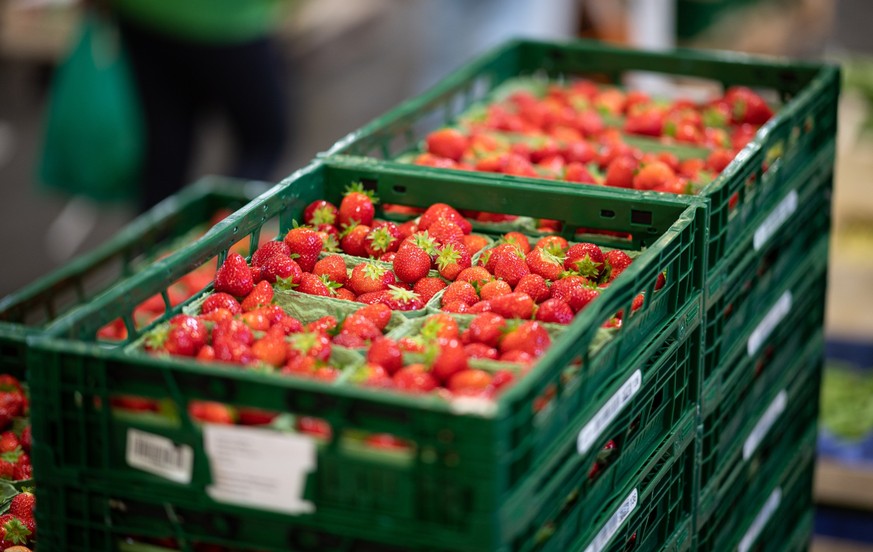 ARCHIV - 02.06.2022, Hamburg: Erdbeeren liegen auf dem Hamburger Gro