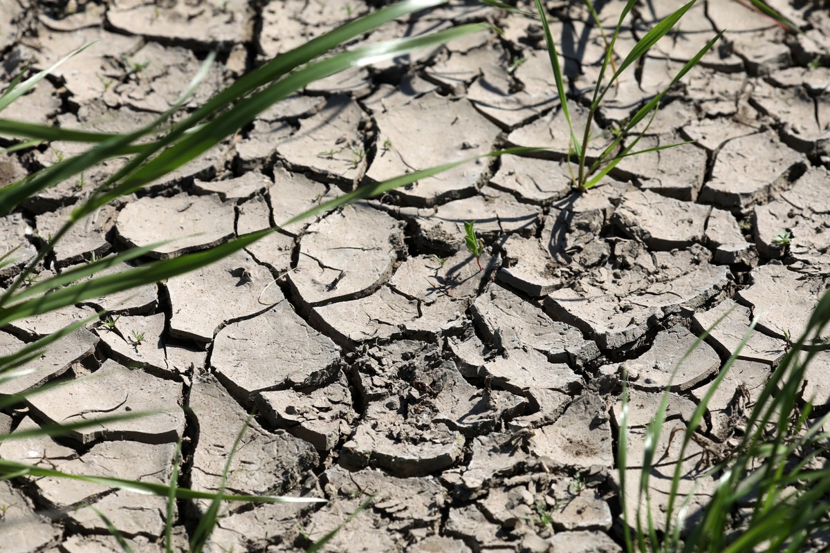 ARCHIV - 24.05.2018, Mecklenburg-Vorpommern, Sildemow: Auf einem ausgetrockneten Acker zeigen sich tiefe Risse. Der Klimawandel l