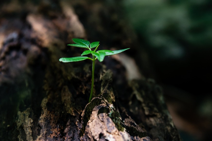 Es fühlte sich vielleicht nicht immer so an. Aber auch in diesem Jahr ist viel Gutes passiert.