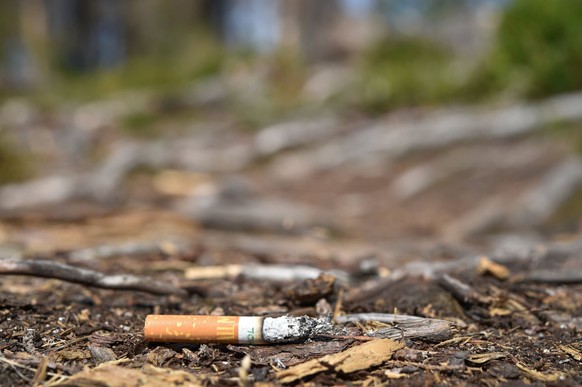 Illustration: Eine brennende Zigarette liegt auf dem Waldboden, aufgenommen am 26.07.2018 bei Oderbrück. Foto: Frank May/picture alliance