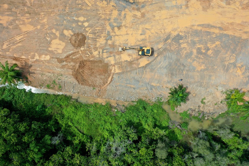 Logging. Aerial drone view of deforestation environmental problem in Borneo. Rainforest is destroyed for palm oil industry. Forest trees cut down environmental issue