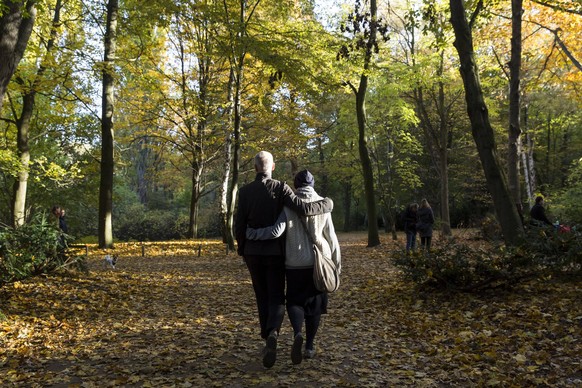 19/ Feature: Zwei Personen gehen umarmt durch den Berliner Tiergarten bei Sonnenschein am 30. Oktober 2016. Bunte Baeume, Wald, Weg, Zweisamkeit, Park, Natur, Flora, Spazieren, Spaziergang, Erholung,  ...