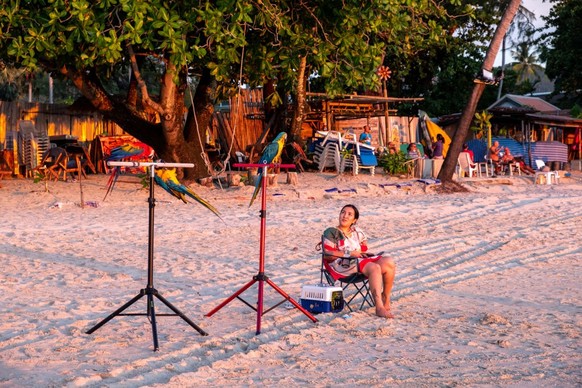 Patong beach in Phuket. While some travellers have started to arrive on the island after meeting the strict entry requirements, the island is still reeling from the devastation the pandemic has inflic ...