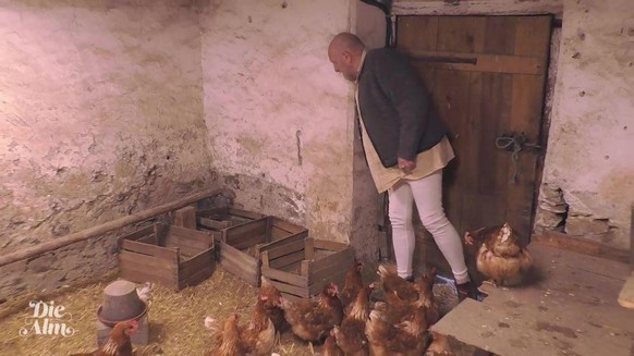 Eddy Kante als Eier-Beauftragter – um die proteinreichen Kostbarkeiten entbrennt ein heftiger Streit.