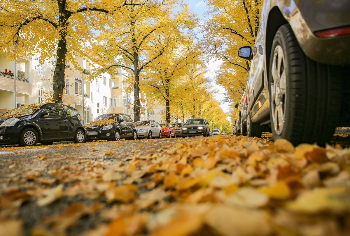 Herbst in Berlin, Buntes Herbstlaub im Oktober Berlin Berlin Deutschland *** Autumn in Berlin, Colourful autumn leaves in October Berlin Berlin Germany