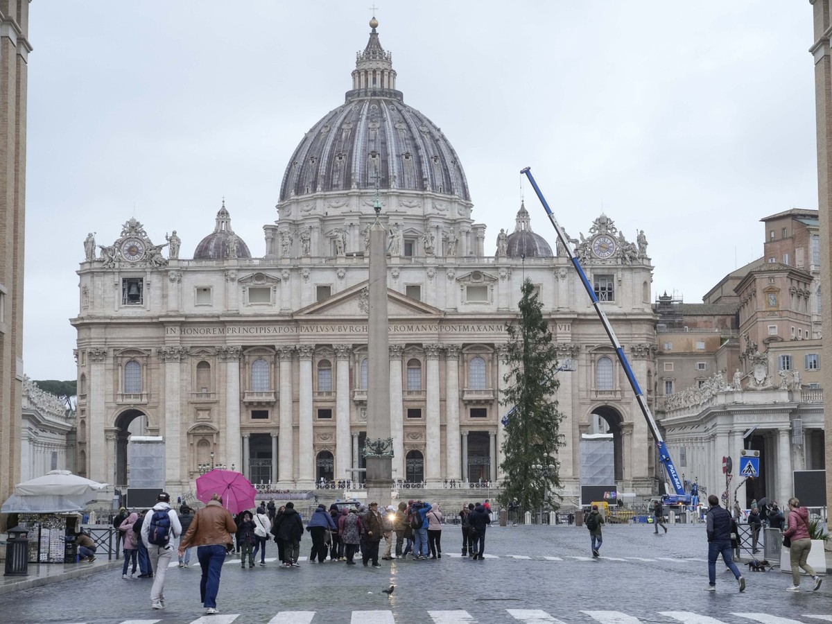 ARCHIV - 22.11.2024, Vatikan, Vatikanstadt: Eine 29 Meter hohe Rottanne aus dem Dorf Ledro in den Dolomiten wird auf den Petersplatz aufgestellt. (zu dpa: «Alle Jahre wieder: Öko-Streit um Papst-Weihn ...