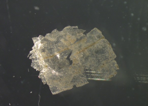 HANDOUT - 12.07.2022, ---: In jeder einzelnen der entnommenen Sedimentproben wiesen die Wissenschaftler Mikroplastik-Teilchen nach � pro Kilogramm Sediment zwischen 215 und 1596 Partikel (undatiertes  ...