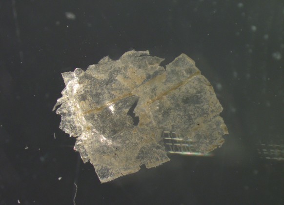 HANDOUT - 12.07.2022, ---: In jeder einzelnen der entnommenen Sedimentproben wiesen die Wissenschaftler Mikroplastik-Teilchen nach � pro Kilogramm Sediment zwischen 215 und 1596 Partikel (undatiertes ...