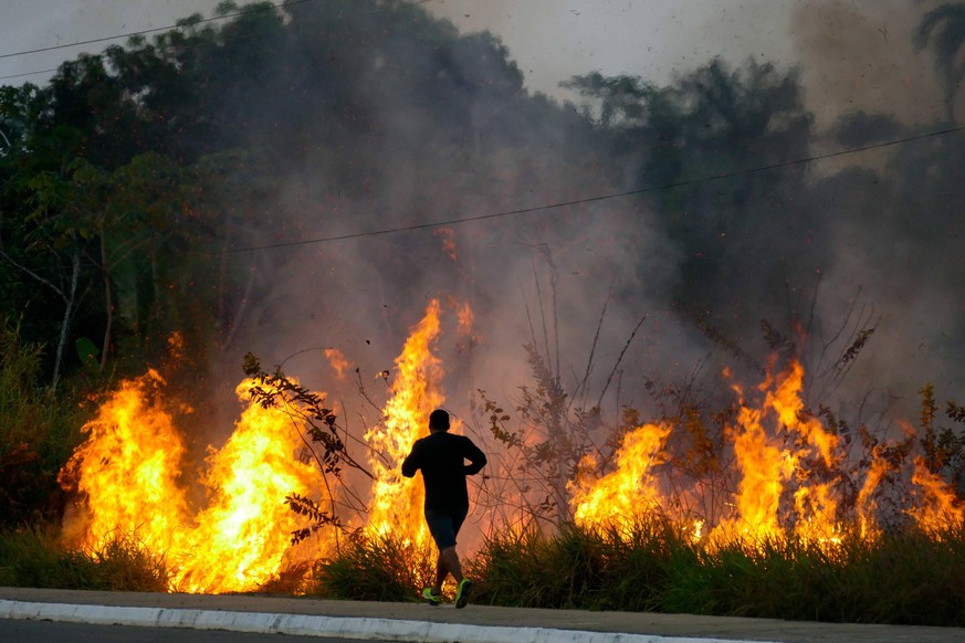 Auch in diesem Jahr wurde im Amazonas-Gebiet großflächig Regenwald verbrannt.