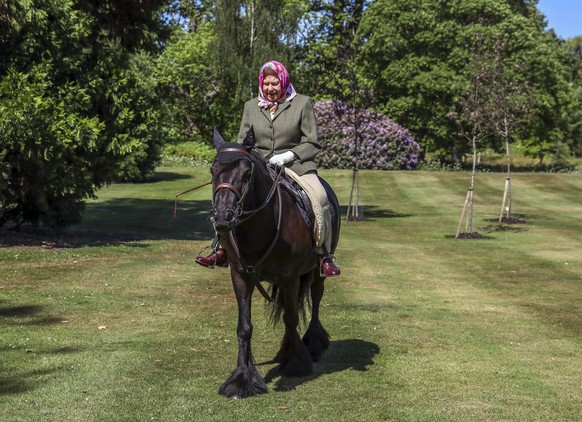 Queen Elizabeth II riding. Queen Elizabeth II rides Balmoral Fern, a 14-year-old Fell Pony, in Windsor Home Park over the weekend. The Queen has been in residence at Windsor Castle during the coronavi ...