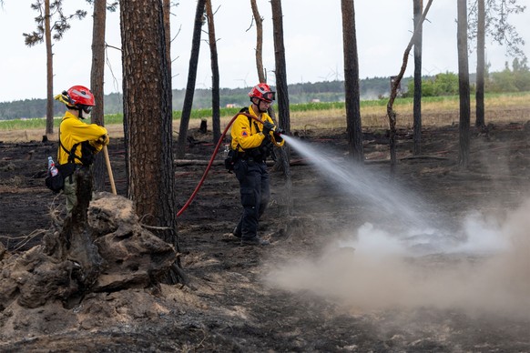 Waldbrand bei Mühlberg, Brandenburg