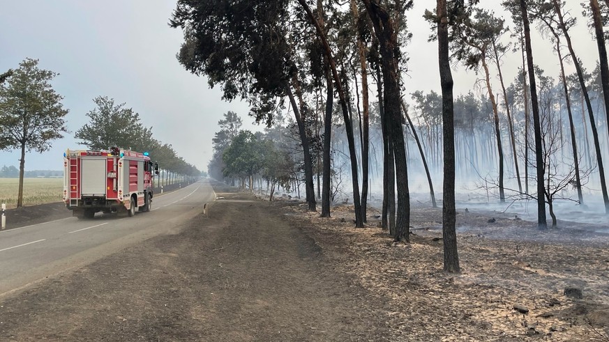 Wenn Trockenperioden mit Hitzewellen zusammenfallen, steigt die Waldbrandgefahr. Auch in Deutschland nimmt die Zahl der Waldbrände zu.