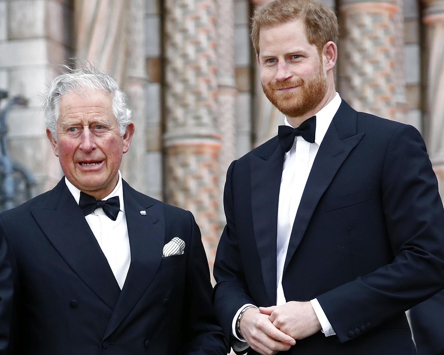 LONDON, ENGLAND - APRIL 04: (L-R) Prince William, Duke of Cambridge, Sir David Attenborough, Prince Charles, Prince of Wales and Prince Harry, Duke of Sussex attend the &quot;Our Planet&quot; global p ...