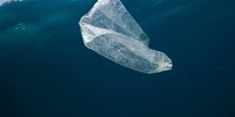 EU geht gegen Plastikmüll vor – was neben Wattestäbchen noch alles aus dem Regal fliegt