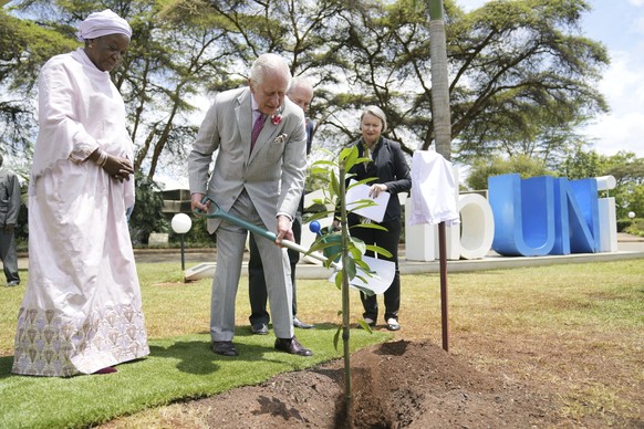 01.11.2023, Kenia, Nairobi: Der britische König Charles III. (2.v.l) pflanzt einen Baum am Rande eines Besuchs im Büro der Vereinten Nationen, während Zainab Hawa Bangura (l), Untergeneralsekretärin d ...