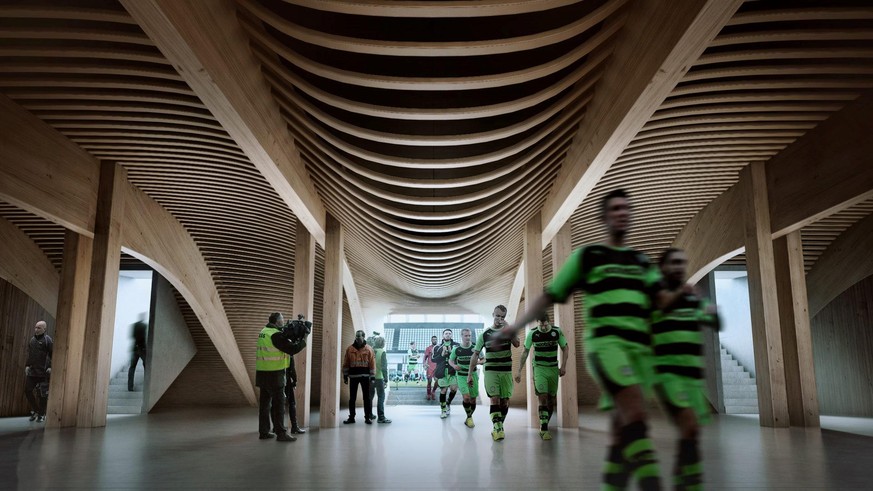Das neue Stadion soll komplett aus Holz bestehen.