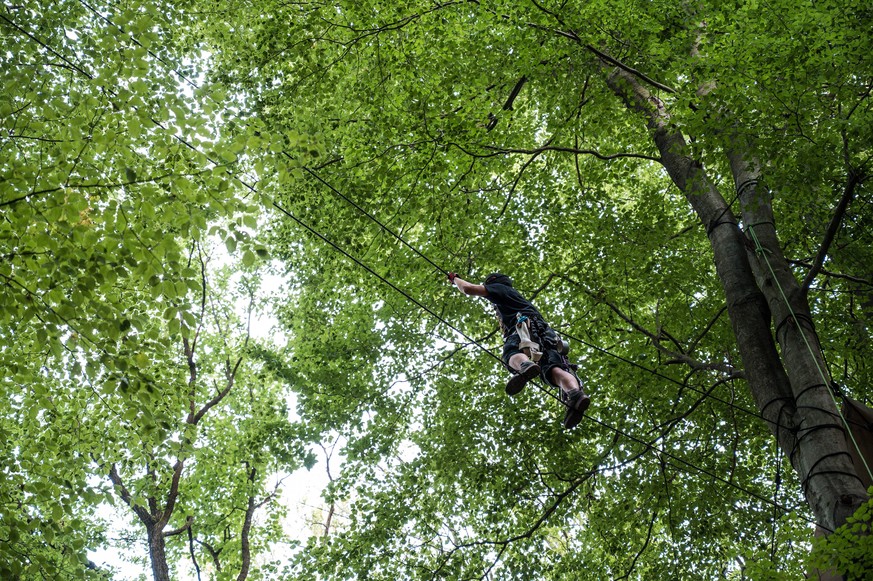 Aktivist*In klettert in den Bäumen im Dannenröder Wald Aktivist*Innen in den Bäumen vom Dannenröder Wald. *** Activist climbing in the trees of the Dannenröder forest Activist climbing in the trees of ...