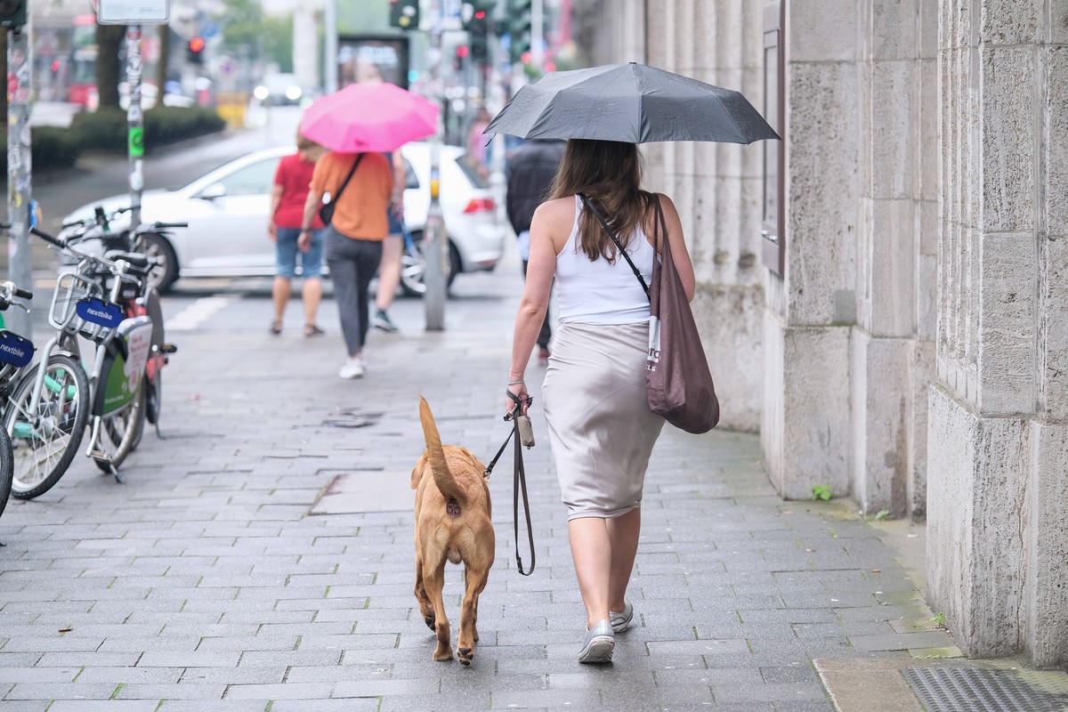 Düsseldorf 02.08.2024 Wetter Regen Regenschirm Klimawandel Platzregen Regenwetter Sturm Windig Sturmtief Regenfront Unwetter Tiefdruckgebiet Klimawandel Platzregen Dauerregen Schneeregen Sommerregen N ...