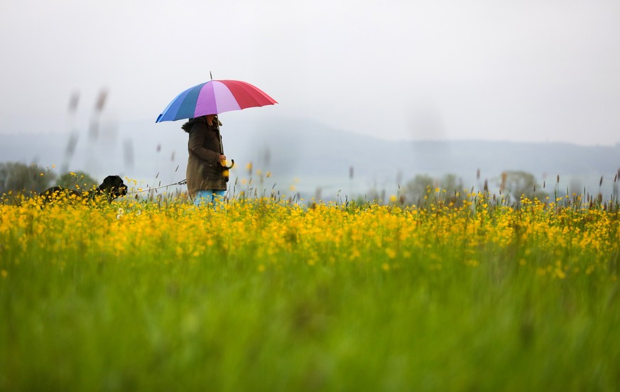 14.05.2023, Baden-Württemberg, Riedlingen: Eine Frau geht im Regen mit ihrem Hund spazieren. Foto: Thomas Warnack/dpa +++ dpa-Bildfunk +++