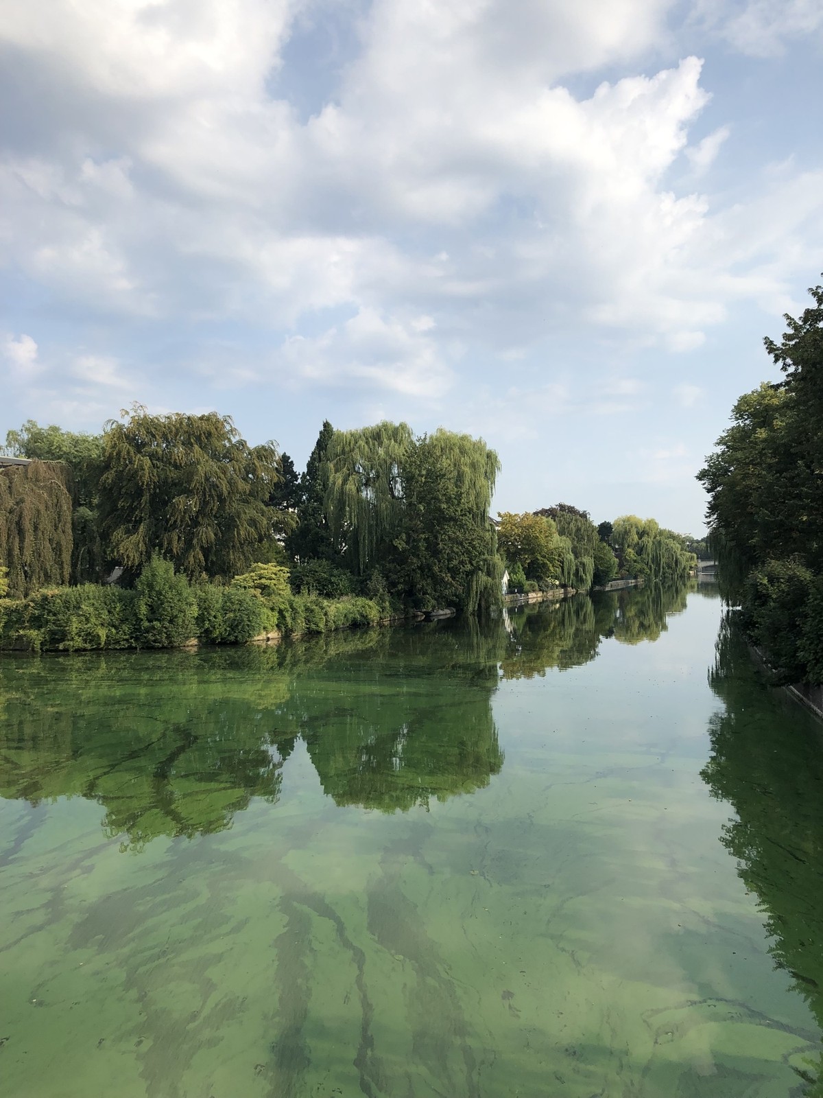 LONDON, ENGLAND - JULY 18: A woman swims past ducks in Beckenham Place Park&#039;s restored swimming lake on July 18, 2019 in London, England. On July 22, London will officially become the world&#039; ...