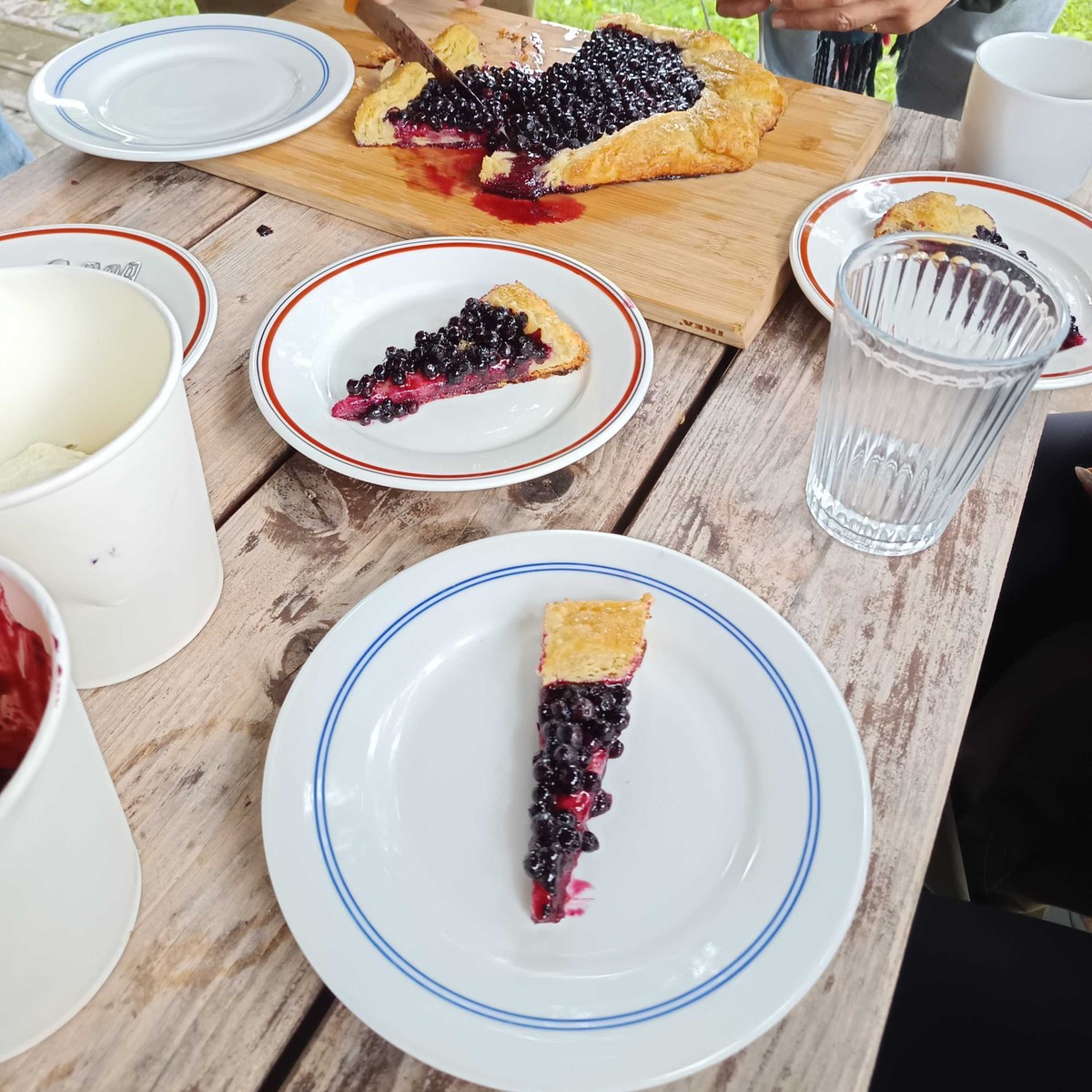 From Forest to Table: Diese Heidelbeeren wurden direkt von uns verarbeitet.