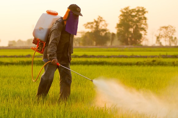 Farmer spraying pesticide in Thailand