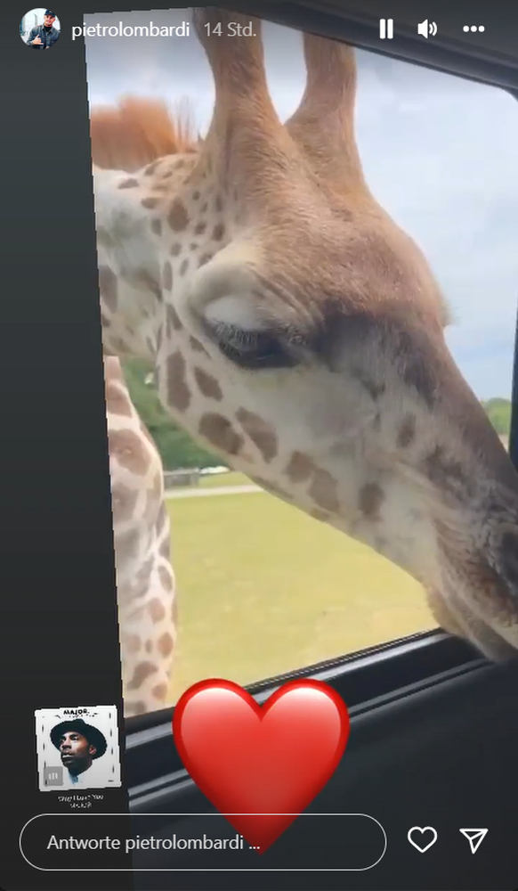 In seiner Story postete Pietro Lombardi am Samstag ein Video vom Zoo.