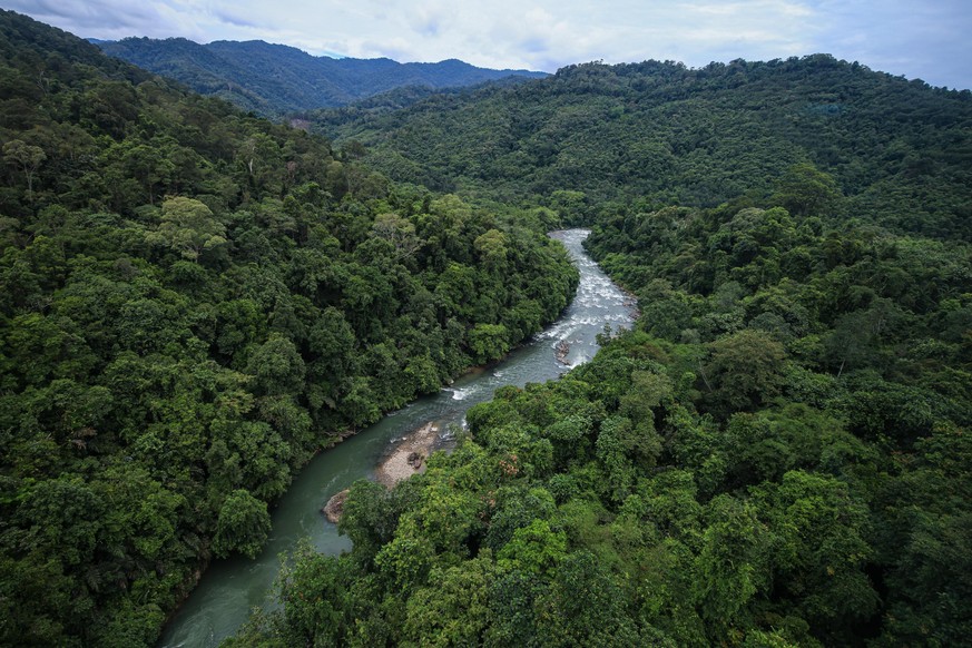 KOTA KINABALU, SABAH, MALAYSIA - SEPTEMBER 10: A general view of Penampang district reserve forest during a Covid-19 vaccination outreach program on September 10, 2021 in Kota Kinabalu, Sabah, Malaysi ...