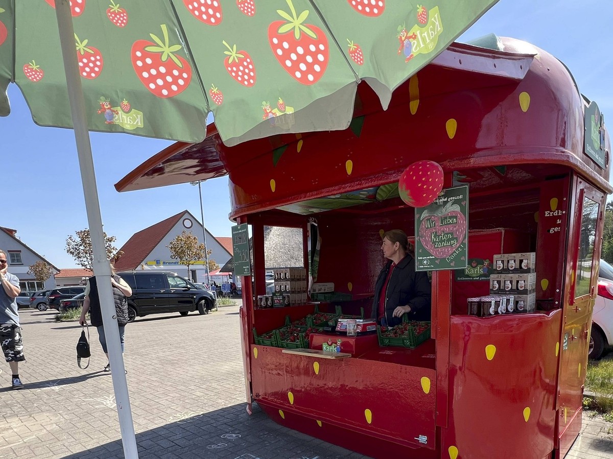 Moblier Verkaufsstand in Erdbeer Form von Karls Erdbeerhof mit Kunden in Dierhagen MV - Die Erdbeeren Fragaria sind eine Gattung in der Unterfamilie der Rosoideae innerhalb der Familie der Rosengew