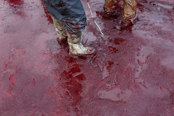 In this Oct. 7, 2014, photo, men in boots move through blood from a bowhead whale as they finish with the butchering process on a field near Barrow, Alaska. After a whale is divided and shared, blood ...