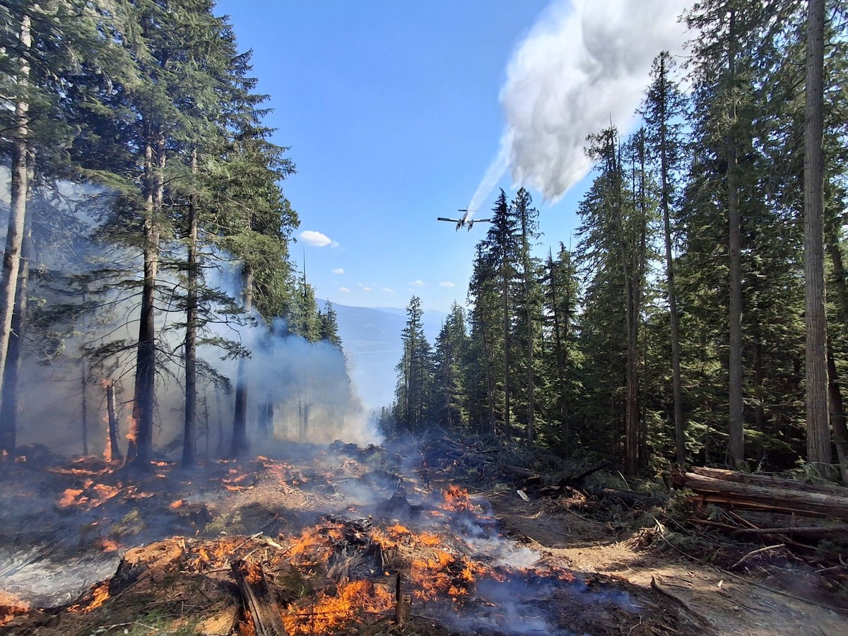 Kanada, Waldbrände in British Columbia 240804 -- BRITISH COLUMBIA, Aug. 4, 2024 -- This photo taken on Aug. 1, 2024 shows an aircraft dropping water over a wildfire site at Dry Creek, southeast of Bri ...