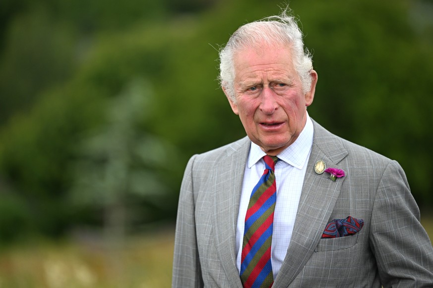 Prinz Charles ist nicht nur Stellvertreter der Royals, sondern auch ein langjähriger Klimaaktivist.