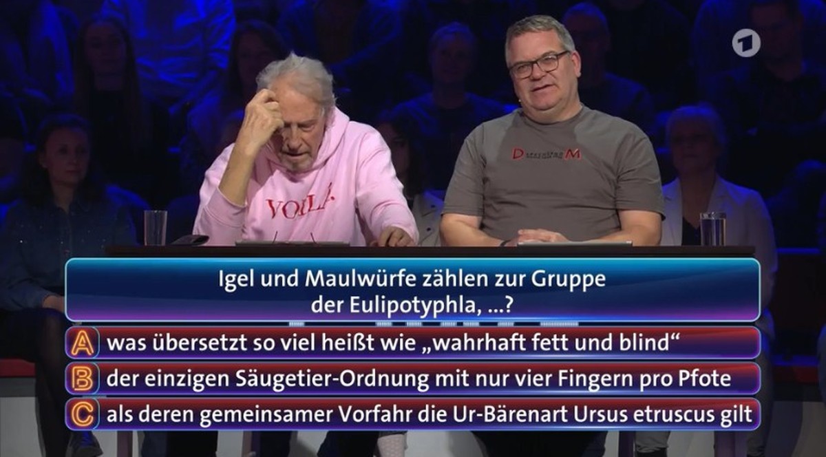 Elton und Reiner Schöne grübeln über die richtige Lösung.