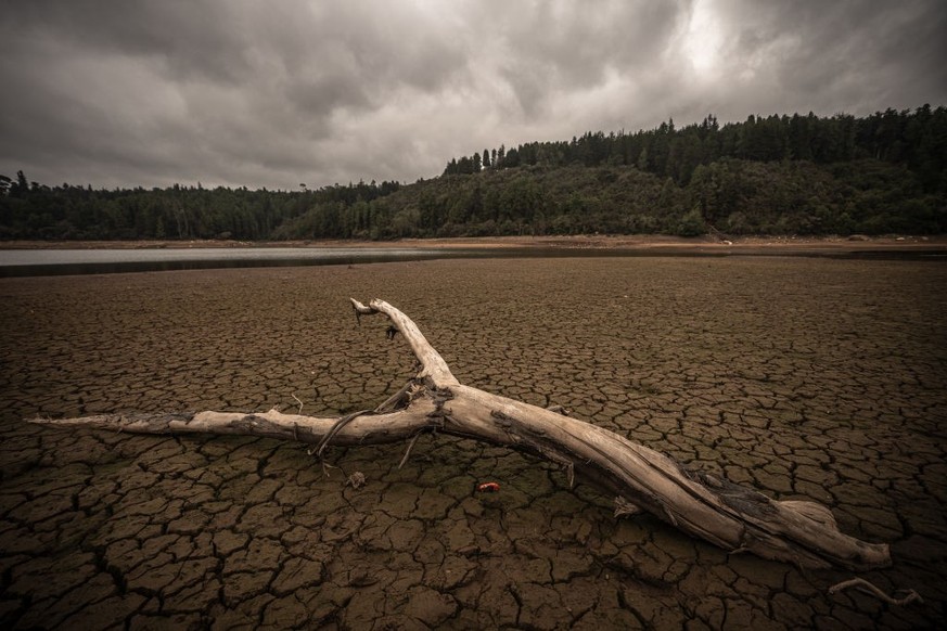 BOGOTA, COLOMBIA - APRIL 8: A tree trunk is lies on a now dry section of the Embalse La Regadera due to its historic low in the town of Usme on April 8, 2024 in Bogota, Colombia. Droughts related to E ...