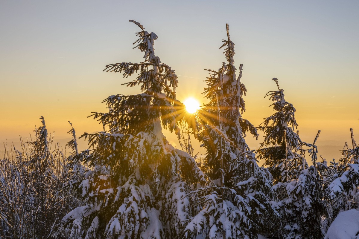 Endlich Sonnenschein. Bis jetzt ist der Winter viel zu Sonnenarm. Oft gibt es dichten Nebel oder Wolken. Dank eines Hochdruckgebietes gab es in den letzten Tagen Sonnenschein. Sonne gibt dem Körper Vi ...