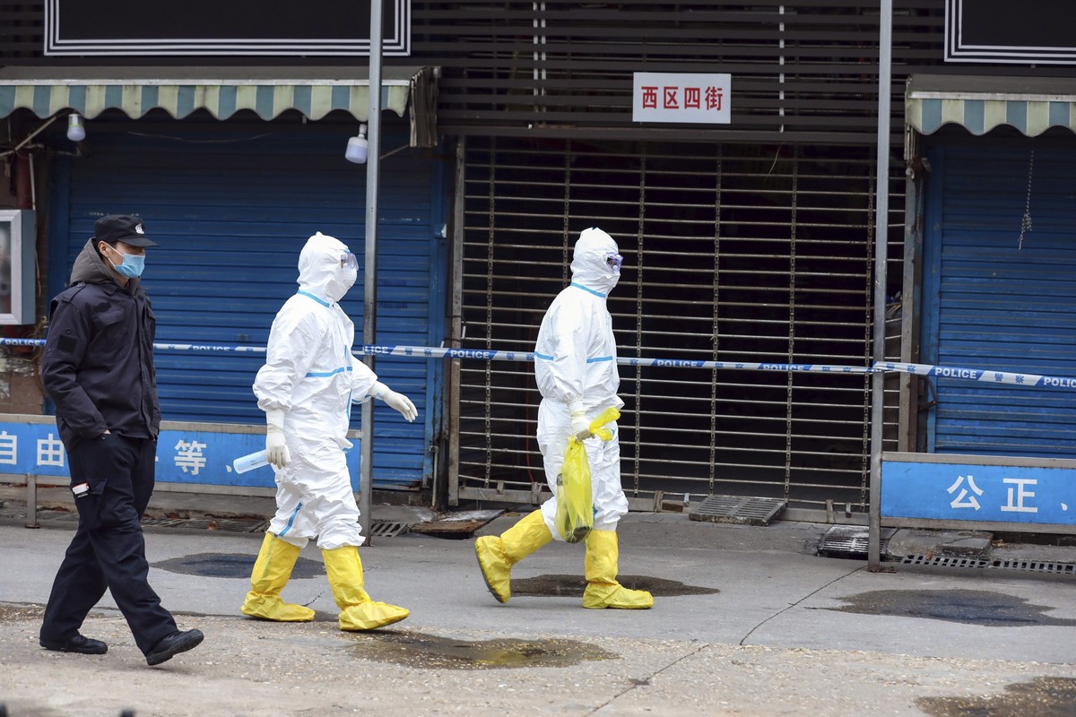 ARCHIV - 27.01.2020, China, Wuhan: Arbeiter in Schutzkleidung tragen eine Tasche, in der sich ein Riesensalamander befindet, der vom Huanan Seafood Market entkommen sein soll. (zu dpa: