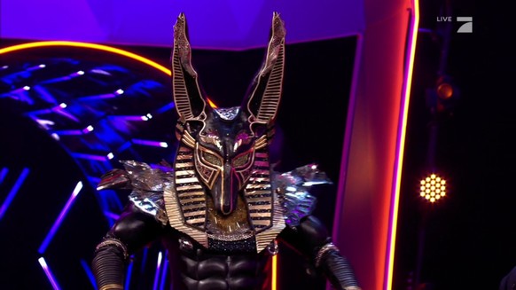 Ein Schakal, der Michael Jackson singt: Anubis.